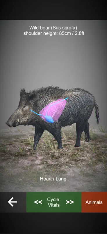 Rifle Hunt Simulator screenshot 7 of 9