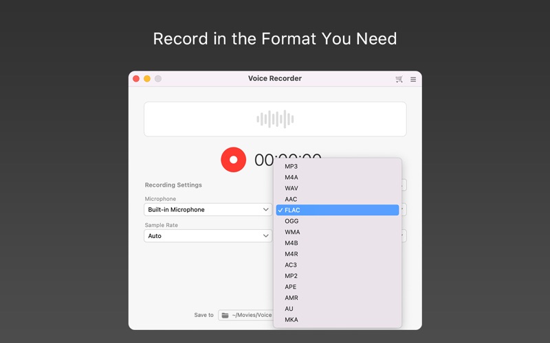 Voice Recorder screenshot 3