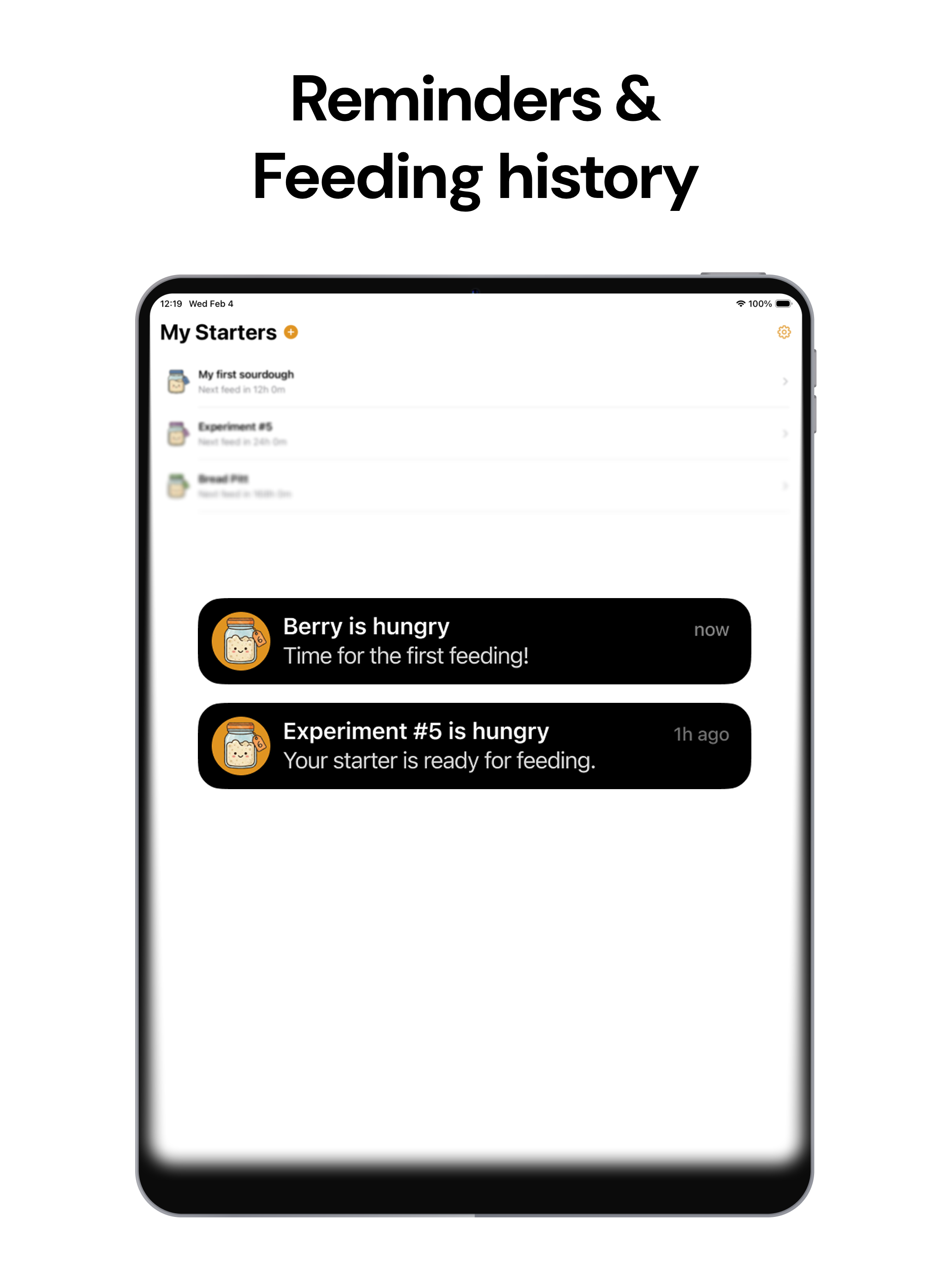 Sourdough Tracker: Crust screenshot 5