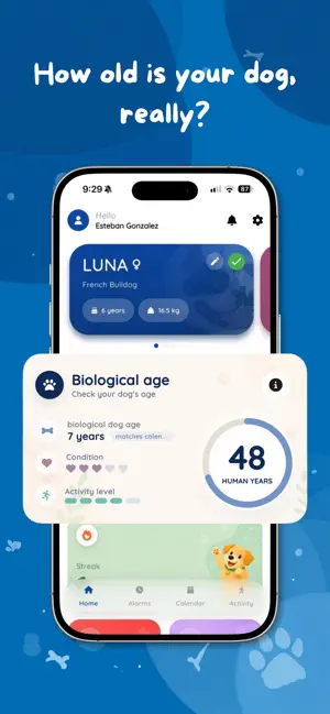 Dogsly screenshot 2