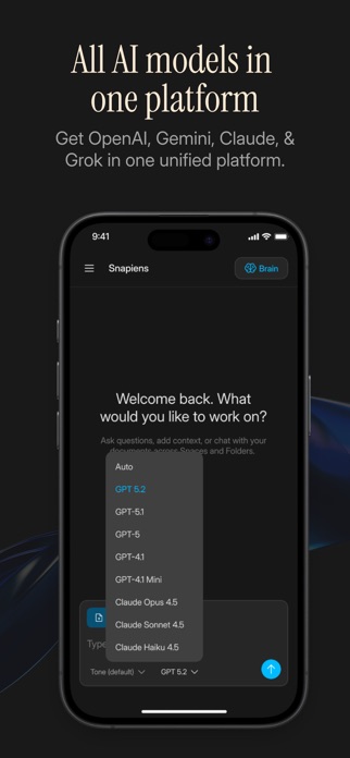 Snapiens Screenshot 3 of 5