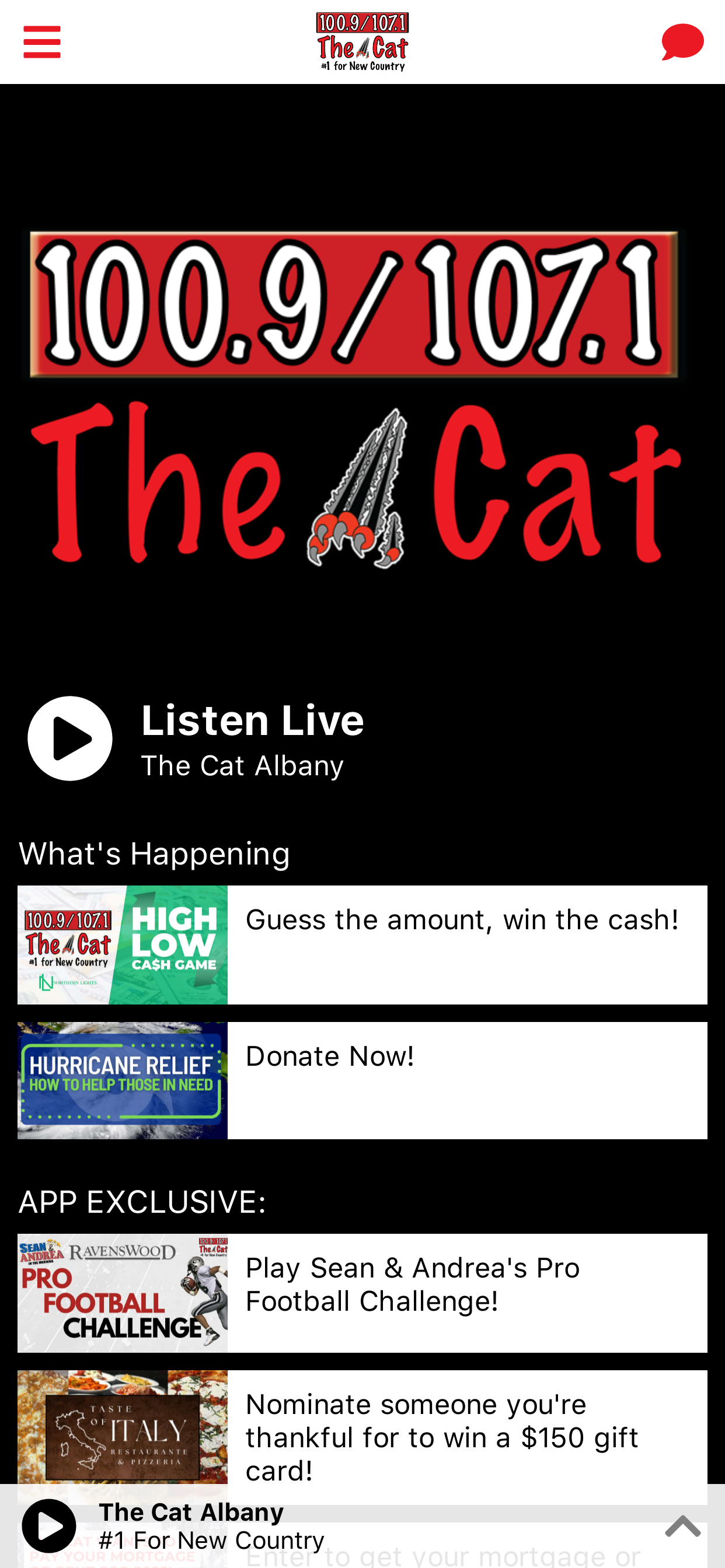 The Cat Albany