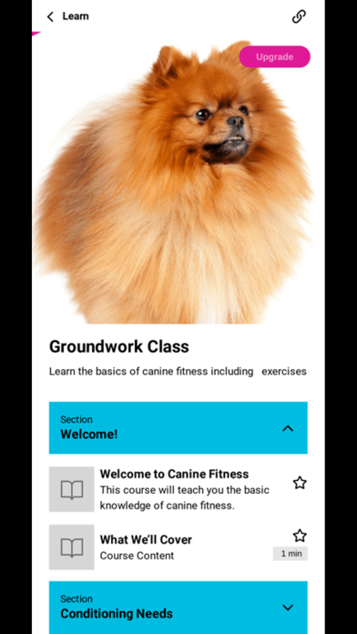 Canine Fitness App Screenshot