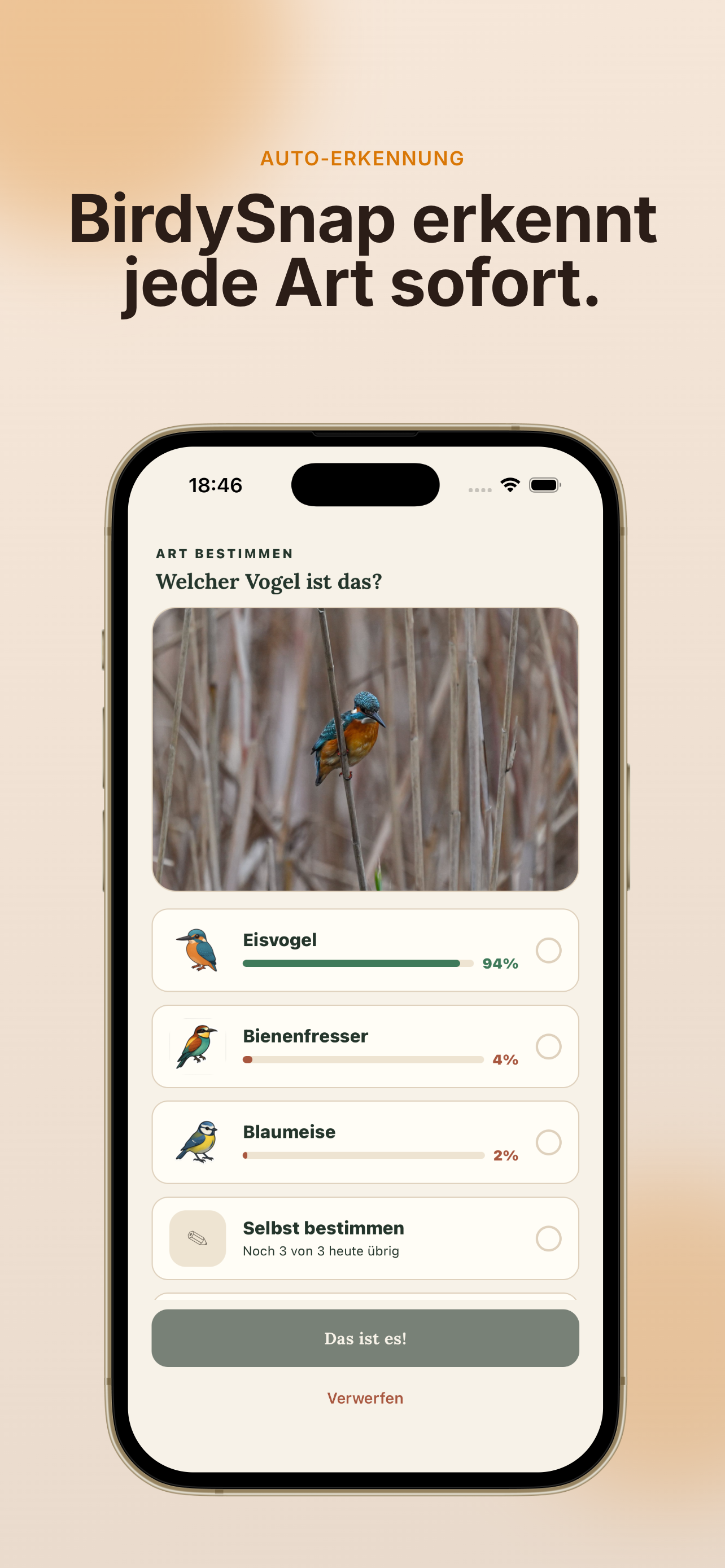 BirdySnap screenshot 2