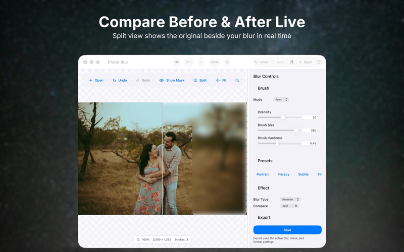 Four blur types with adjustable radius