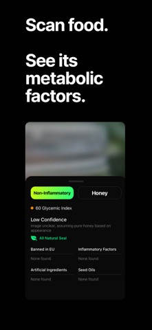 Metabolism AI screenshot