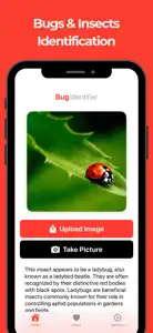 Bug Identifier & Insect Id screenshot #1 for iPhone