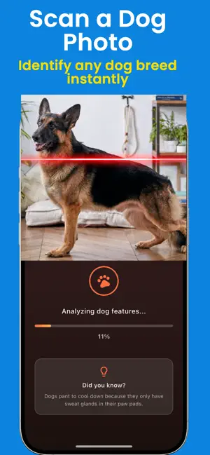 Dog Identifier: Dog Breed AI screenshot 2