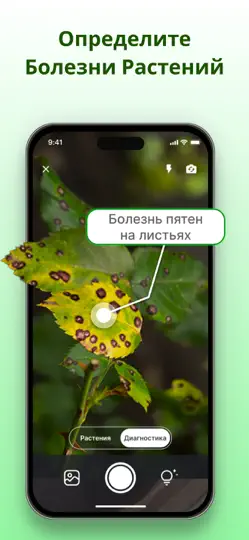 Скриншот PlantCheck: Определитель на iPhone 3