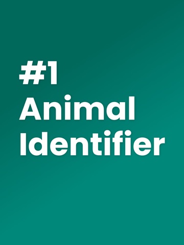 Animal Identifier: FaunaID iPad screenshot