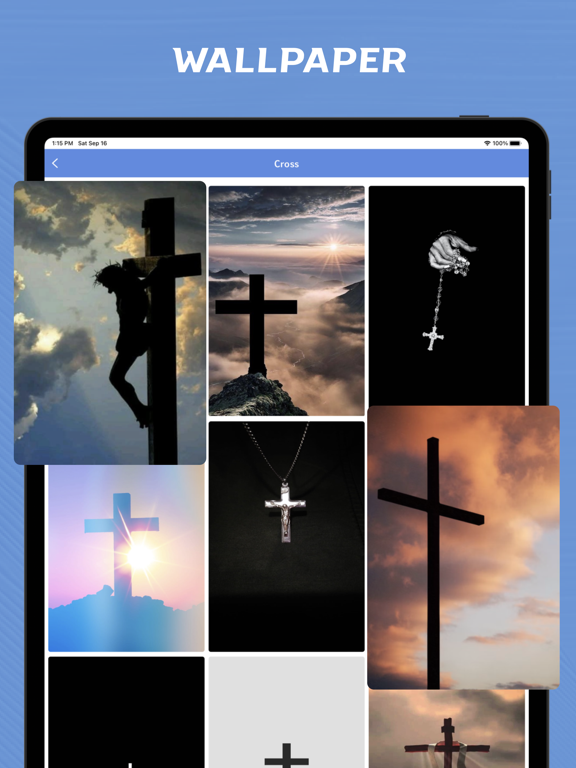 NASB Bible - offline iPad screenshot 8 - Reference app