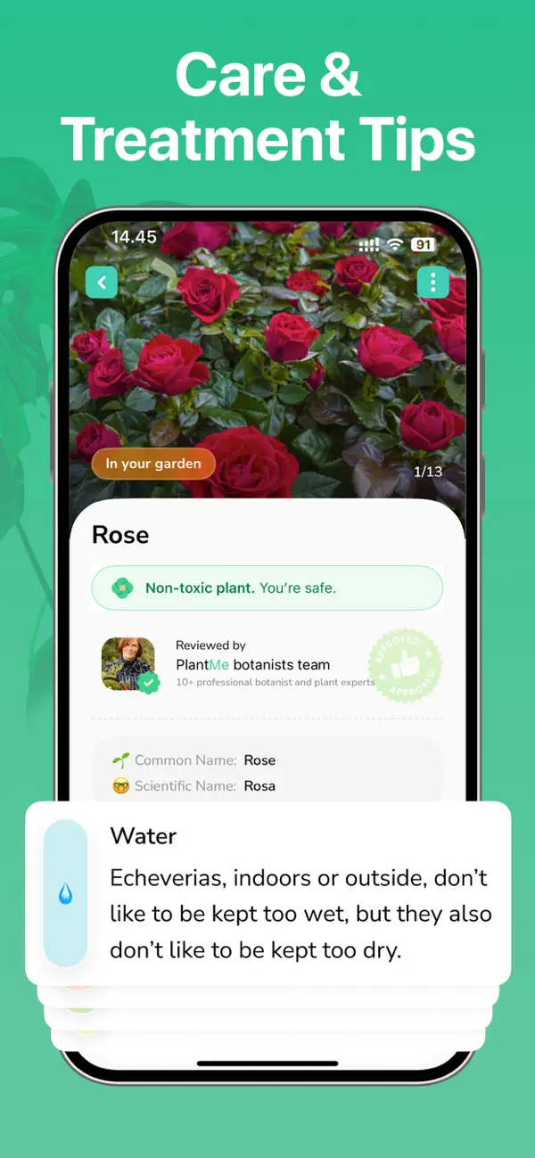 Screenshot #2 pour PlantMe: Plante Reconnaissance
