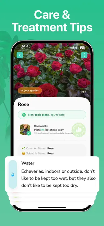 Plant Identifier - PlantMe: Screenshot 2 von 6