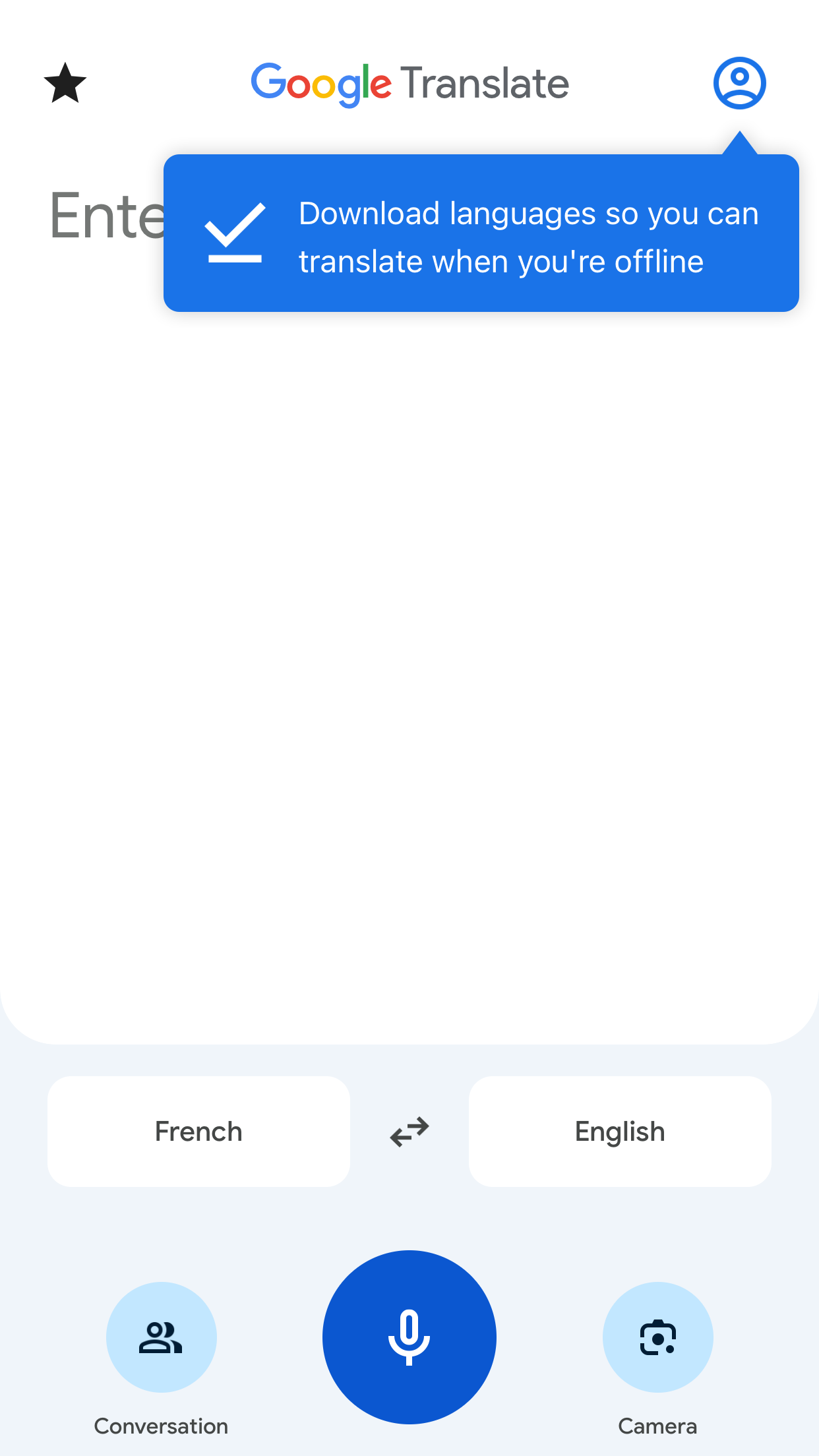 Google Translate screenshot 1