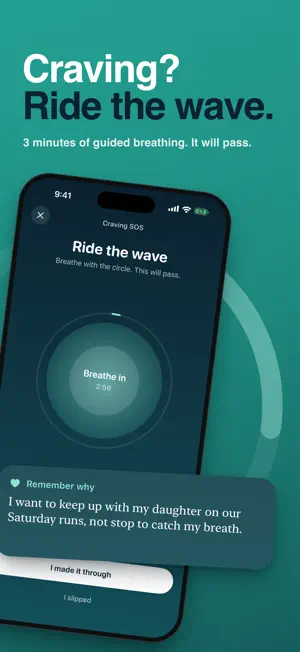 Quit Smoking Tracker: Tideline screenshot 2