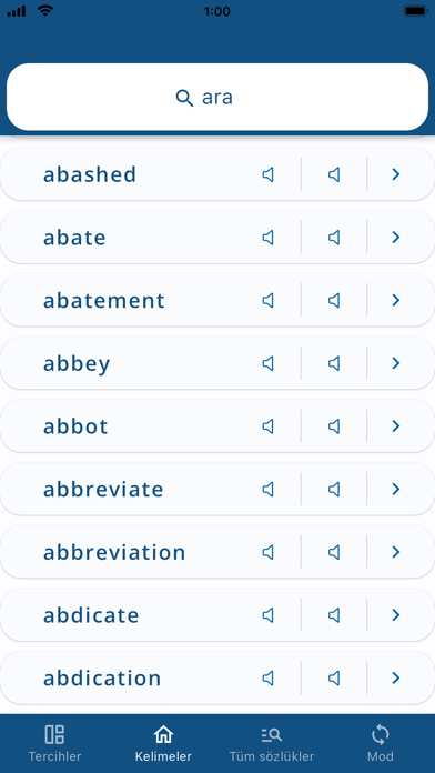 Turkish English Dictionary - Screenshot