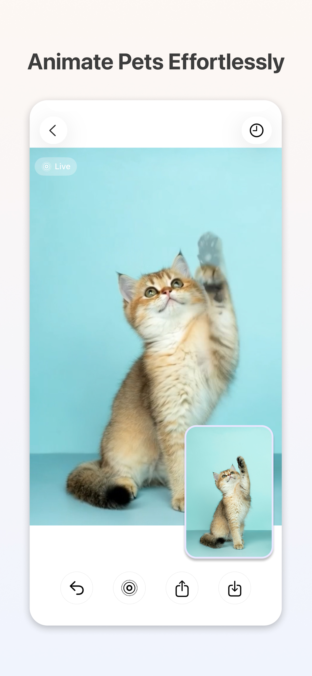 GenLive: AI Video & Live Photo