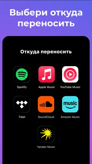 Скриншот Стащи свою музыку на iPhone 2