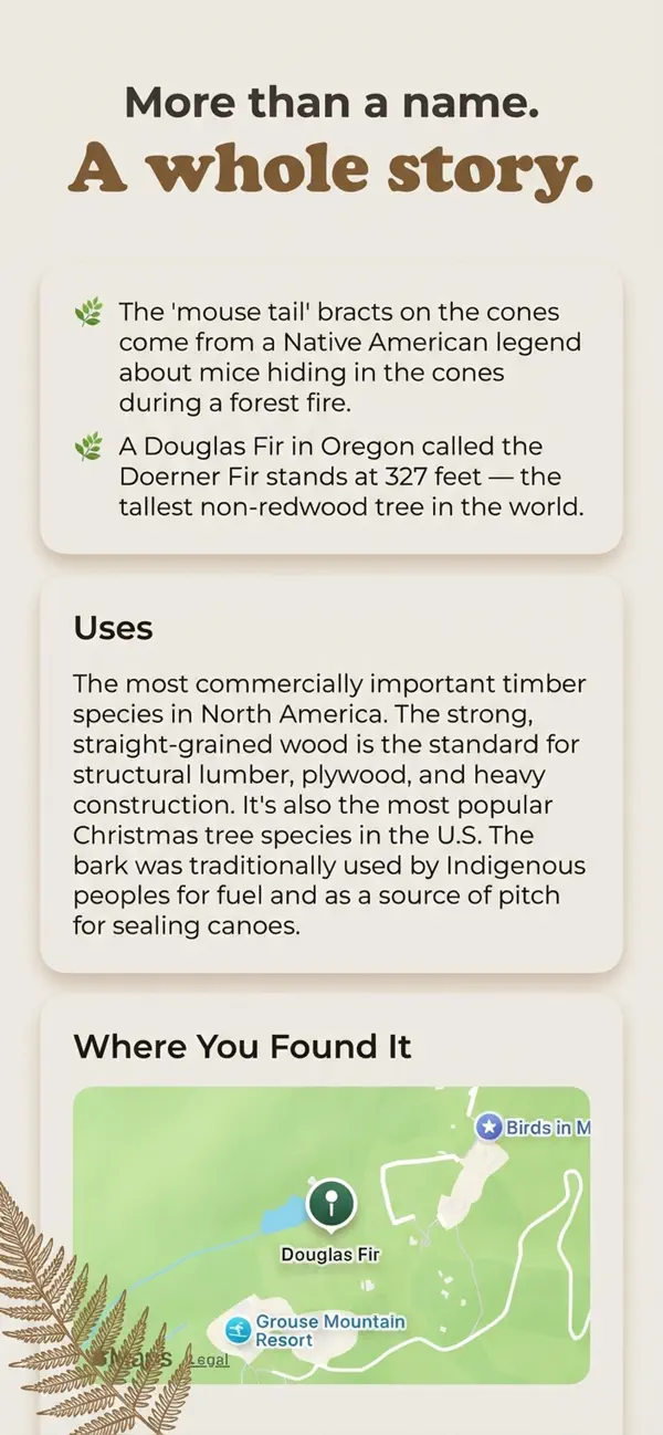 #5. Tree Identifier - Tree ID (iOS) โดย: Toto Ventures Inc.