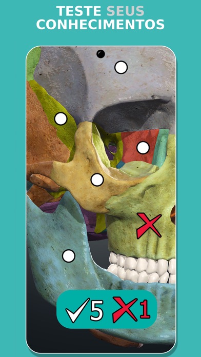 Anatomy Learning - Anatomia 3D iPhone screenshot 5
