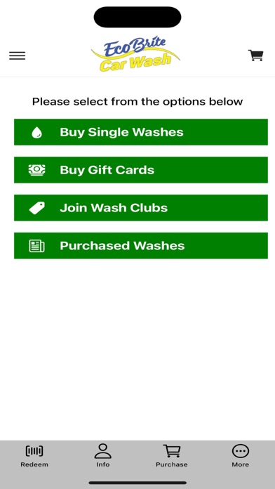 Eco Brite Car Wash Screenshot