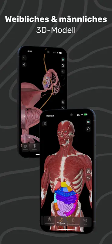 Easy Anatomy 3D mit Sprach-KI screenshot 2 of 9