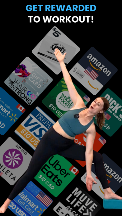 Fitsentive Screenshot
