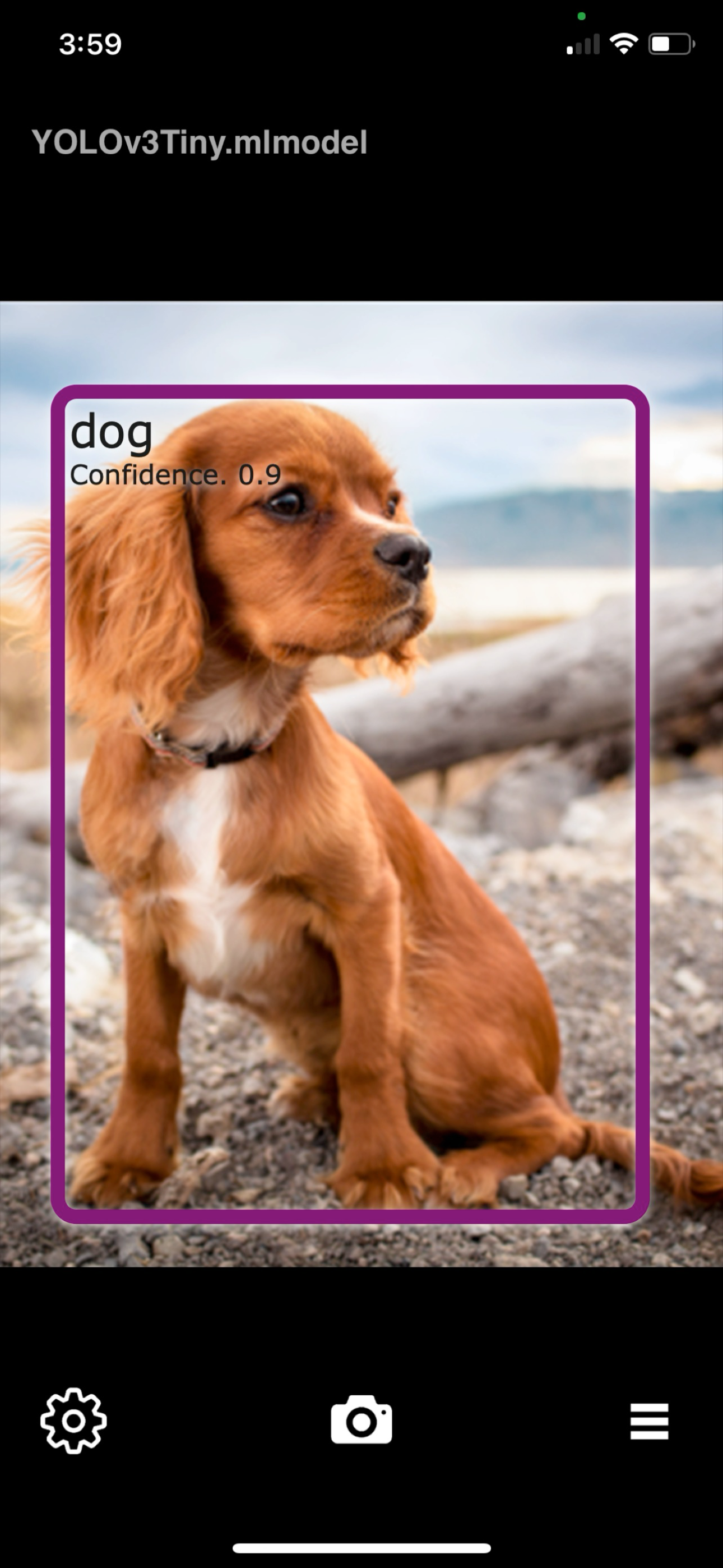 Object Detection Cam