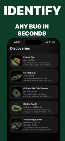 Insect Identifier: BugRadar screenshot
