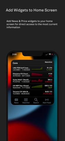 S&P Global Energy Core screenshot