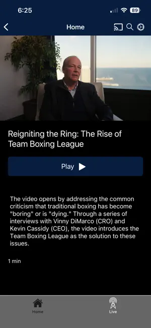 Team Boxing League screenshot 2