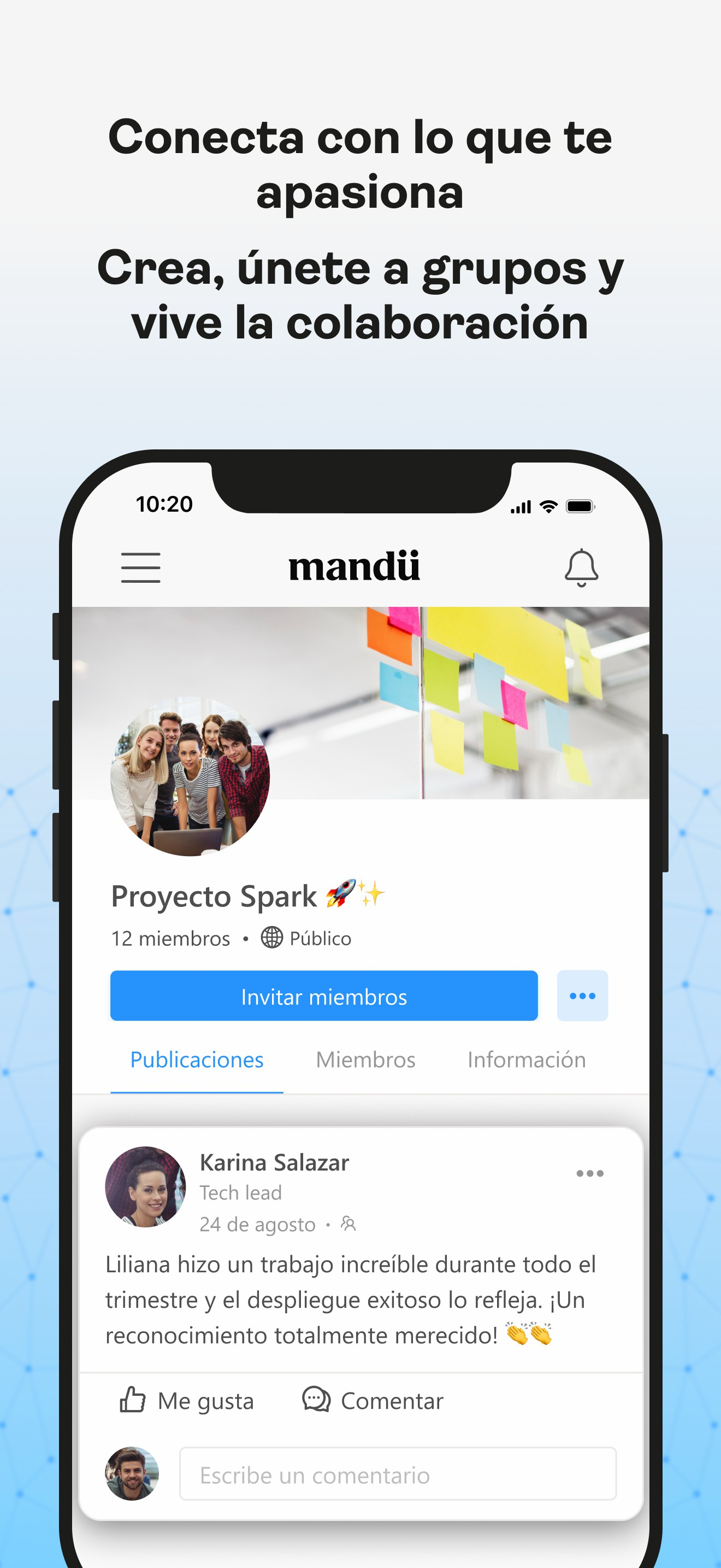 Mandü screenshot 4