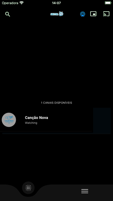 SEITEL TV Screenshot 5 of 10