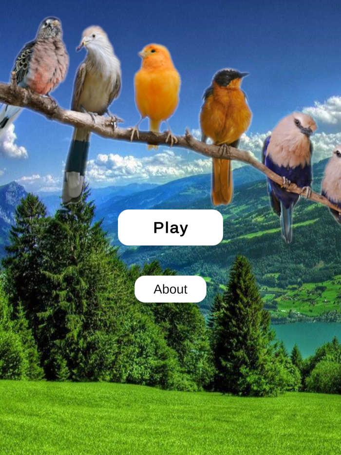 Birds Quiz and Learn
