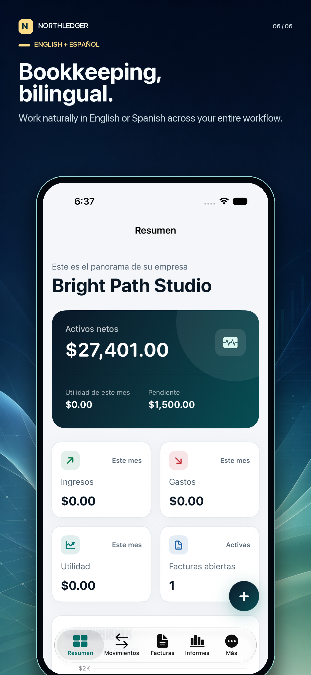 NorthLedger-Bookkeeping screenshot 6