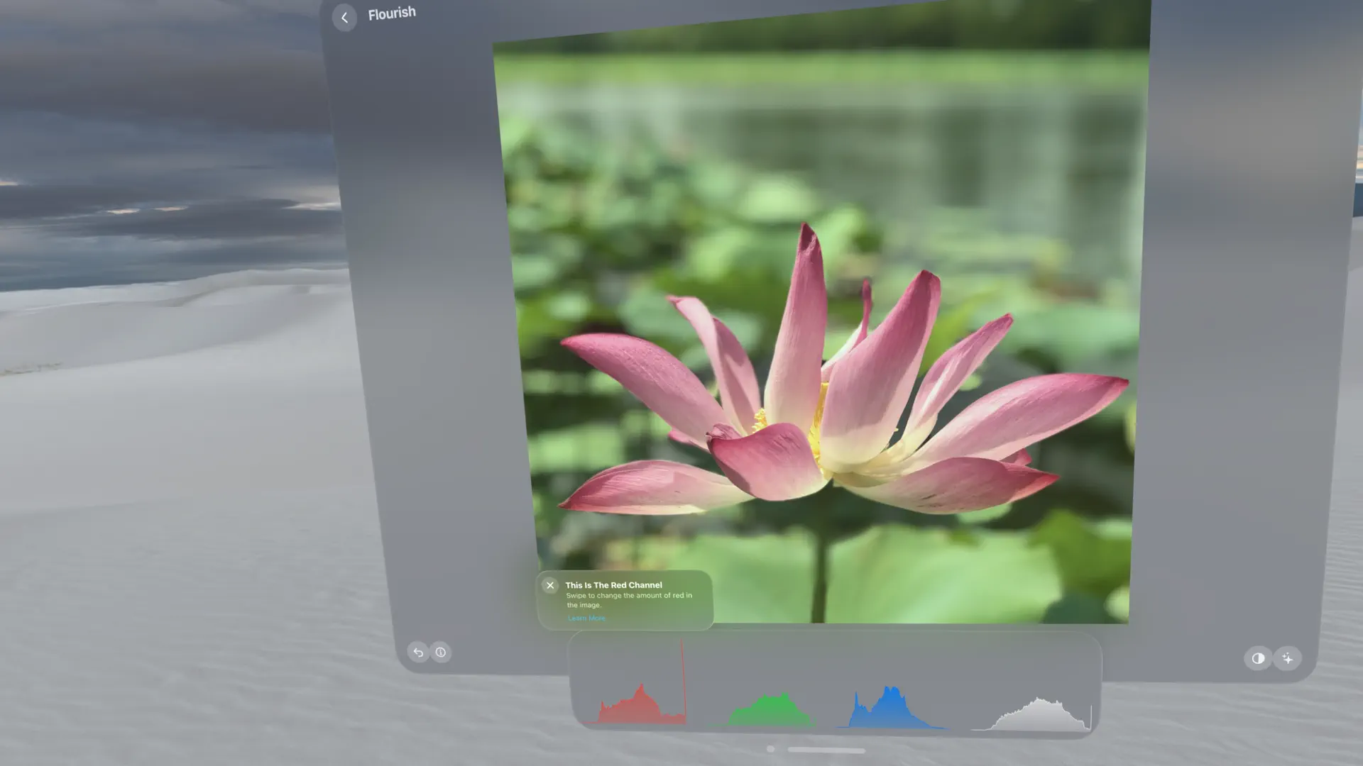 Flourish - Color Photo Editor screenshot