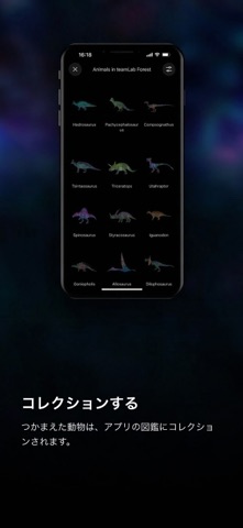 Fukuoka / Collecting Forest iPhone screenshot 4