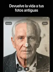 auror ai - photo video editor ipad capturas de pantalla 4