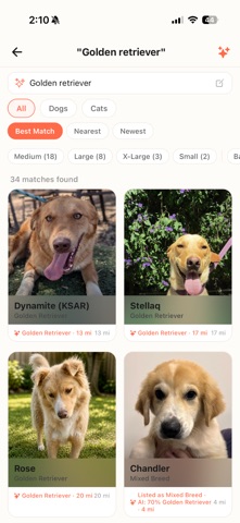 Chunk: Pet Adoption & Health iPhone screenshot
