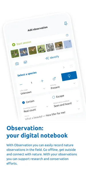 Observation screenshot 1