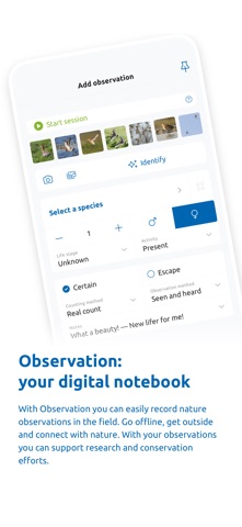 Observation screenshot