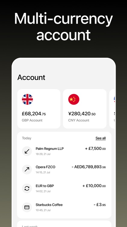 Lucid Money screenshot-3