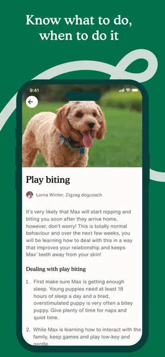 Zigzag: Screenshot 7 von 8