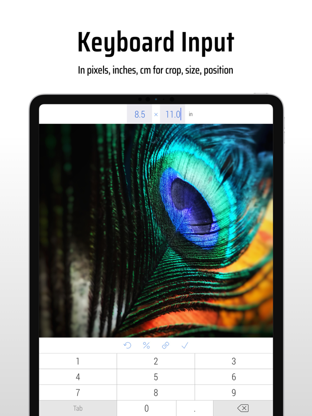CropSize: Image Resizer Editor Screenshot