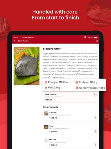 Zurf Screenshot 2
