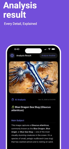 Phorium screenshot