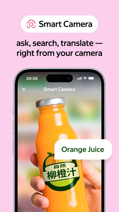Yandex Browser with Alice AI screenshot
