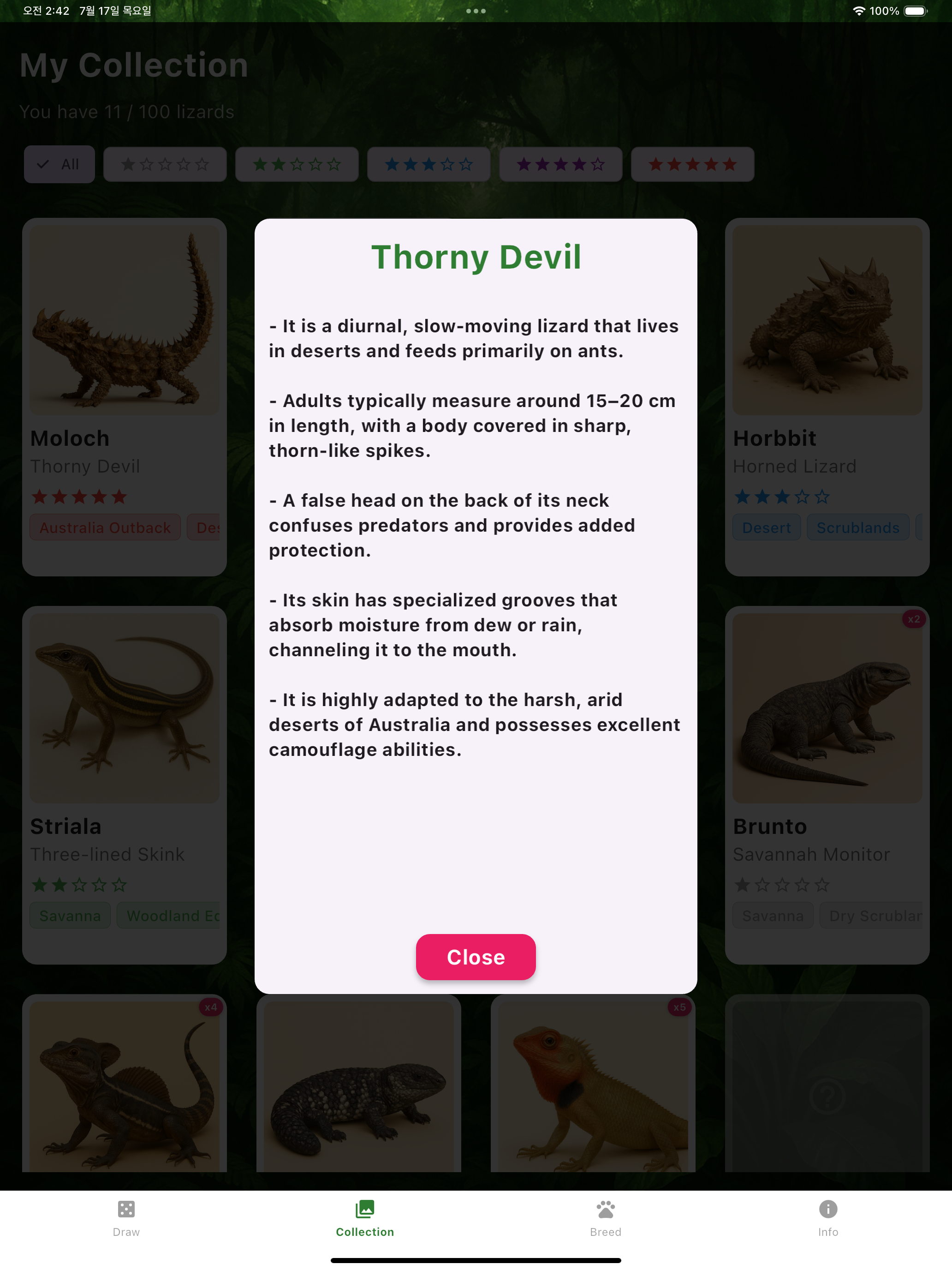Gacha Lizard
