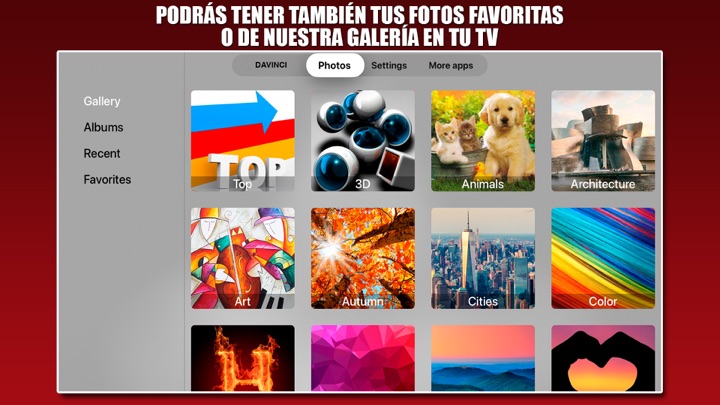 Captura de pantalla de la aplicación