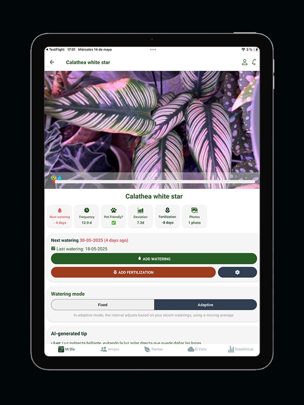 iPad screenshot